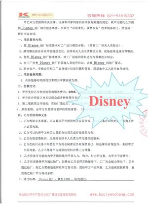 浙江樂(lè)中XX玩具生產(chǎn)有限公司合作Disney驗(yàn)廠