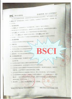 金華市xx包裝有限公司合作BSCI驗(yàn)廠