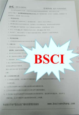 XX科技(杭州)有限公司合作bsci驗(yàn)廠