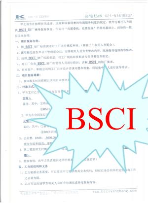 杭州XX車(chē)業(yè)有限公司合作BSCI驗(yàn)廠(chǎng)