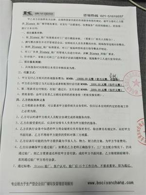 嵊州市XX娛樂用品有限公司合作Disney驗(yàn)廠