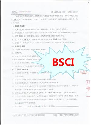 江蘇XX膠業(yè)有限公司與康華合作BSCI驗(yàn)廠