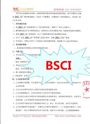 浙江XX新材料有限公司與康華合作BSCI驗廠