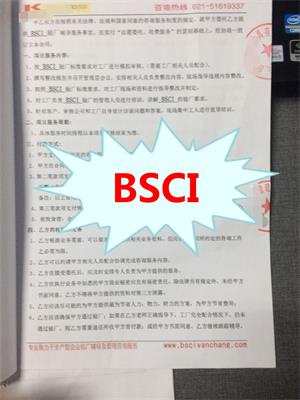浙江XX玩具有限公司與康華合作BSCI驗廠